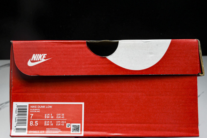 Nike Dunk Low "Racer Blue" DV0833-103