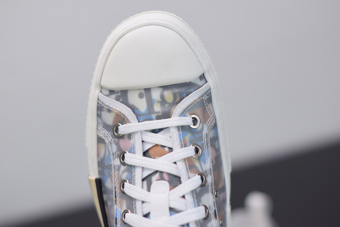 D10R B23 Oblique  Low Top Sneakers L00N4