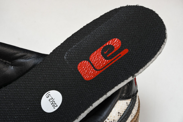 nike dunk low preM1vm atmos  fj5434-120