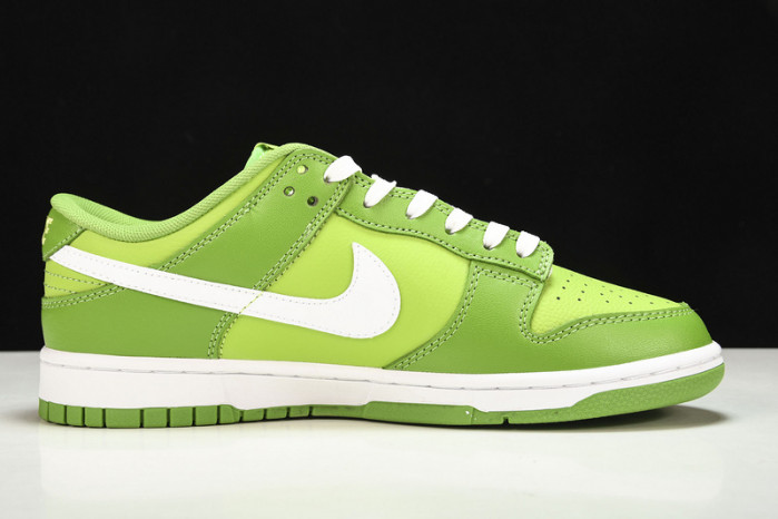 Nike Dunk Low DJ6188-300