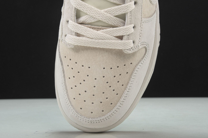 Nike Dunk Low Retro Prm DD8338-001