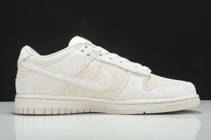 Nike Dunk Low Retro Prm DD8338-001