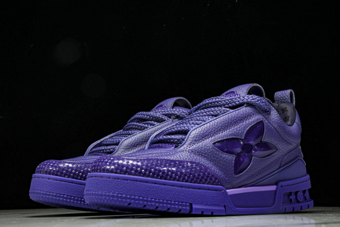 LV SNEAKER SKATE FOR-LV260