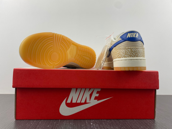 Nike SB Low "Sesame" DZ4853-200