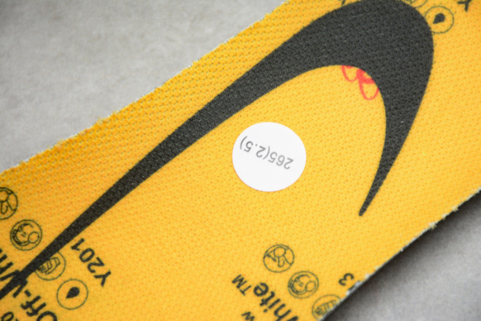 Nike Dunk Low OF CT0856-800